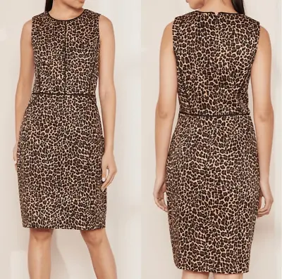 J.Crew Cheetah Leopard Animal Print Sheath Dress Sz 0 Women’s EUC • $24.50