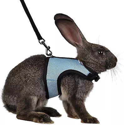 Adjustable Soft Harness With Elastic Leash For Rabbits (M Blue) • $12.98