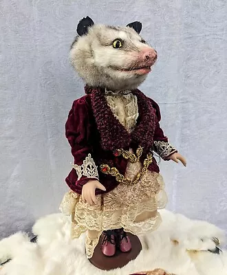 Possum Taxidermy Doll Real Virginia Opossum Taxidermy Head On Vintage Doll Ooak • $260