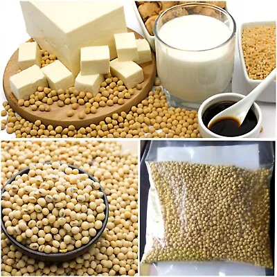 ORGANIC PREMIUM Dry Soya BEANS Non GMO No PRESERVATIVES  Make Tofu 50g • $6.99