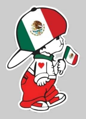 Mexican Flag Boy Sticker Decalbandera De Mexico Chico Mexicano • $2.95