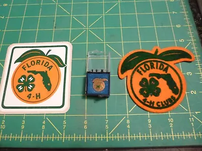Vintage Florida 4H Club NOS Lot - Citrus Orange Patch Lapel Pin & Sticker • $1.99