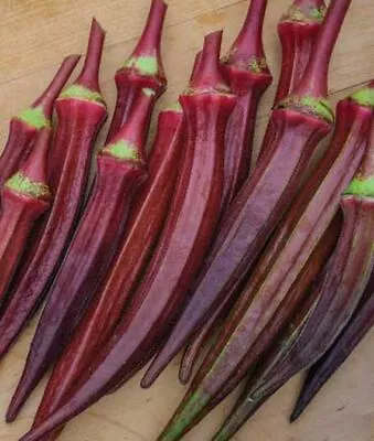 Okra RED BURGUNDY AAS Winner Edible Flowers & Fruit 6-8  Pods Jambalaya 55 Seeds • $3.98