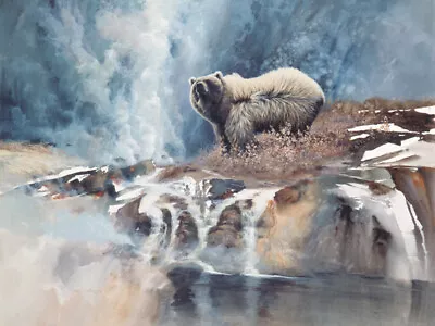 Into The Wind By Morten E. Solberg Wildlife Animals Grizzle Bear Canvas 24x32 🐻 • $349