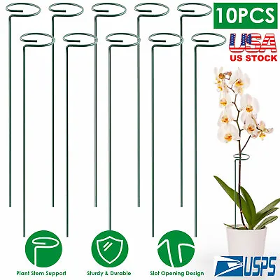 $15.74 • Buy 10pcs Plant Support Stakes Garden Flower Veg Single Stem Support Stake 10 /16 