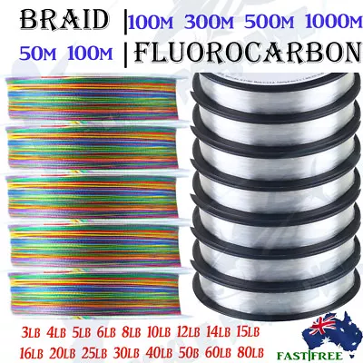 Braid Fluorocarbon Fishing Line Spectra 300m 500m 1000m 6lb 10 20 30 40 50 80lb • $8.95