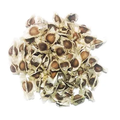 £6.95 • Buy Dried Moringa Oleifera Seeds Pure Natural Organic Health Hair Skin Herbal Set100