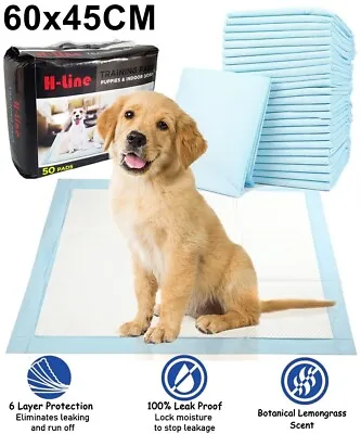 £9.95 • Buy 50 Large Puppy Training Trainer Train Pads Toilet Pee Wee Poo Dog Pet Cat Mats