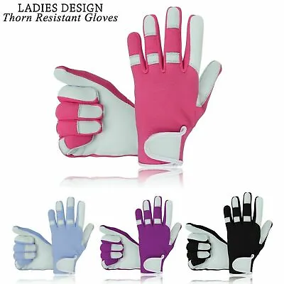 Ladies Men Leather Gardening Gloves Thorn Proof Garden Work Gloves • $7.46