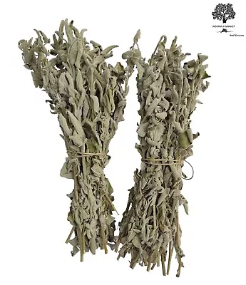 Wild Greek Sage Herbal Tea Whole Bunch 460g(16oz) | Harvest 2023 Premium Quality • £22.70