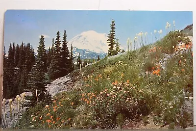 Washington WA Dewey Lake Trail Mt Rainier Postcard Old Vintage Card View Post PC • $0.50