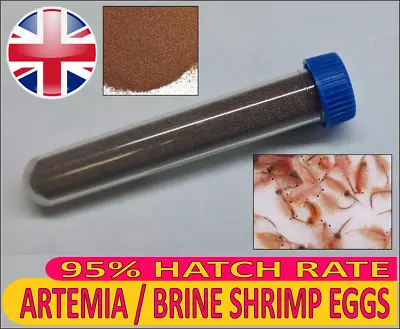 Artemia / Brine Shrimp Eggs 95% Hatch Rate Fry Food Live Fish Food Coral Marine • £5.49