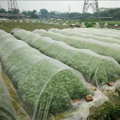 10M Garden Protect Insect Animal Netting.Vegetables .CropsPlant Mesh Bird Net❤ • £3.58