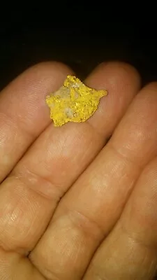 1 LB GOLD NUGGET RICH %100 UNSEARCHED PAY DIRT #24k • $24.99