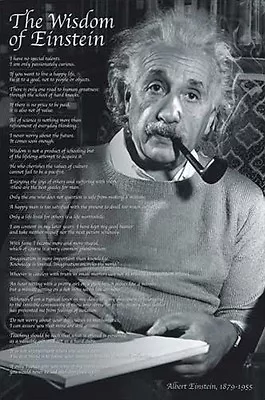 THE WISDOM OF ALBERT EINSTEIN 22 Quotations Inspirational 24x36 Wall POSTER • $15.29