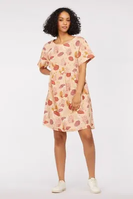 $49.99 • Buy Princess Highway Sea Turtle Dress Cream In Size 8 - BNWT