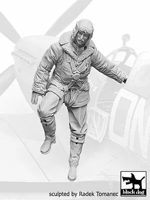 Black Dog 1/32 British RAF Fighter Pilot #7 1940-1945 WWII Climbing Down F32078 • $23.97