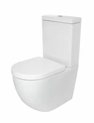 Raymore Winton Back To Wall Toilet Suite Standard Seat • $550