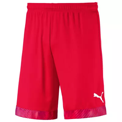 Puma Cup Shorts Mens Size L  Casual Athletic Bottoms 704034-01 • $12.99