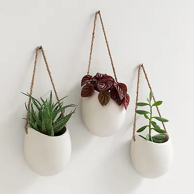 Wall Planters -Ellie- | Hanging Ceramic Plant Pots 3 Pieces For Succulents And • £38.71
