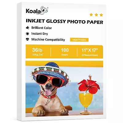 100-300 Sheets Koala Photo Paper 8.5x11 11x17 36lb Glossy Inkjet Printer Paper • $24.99