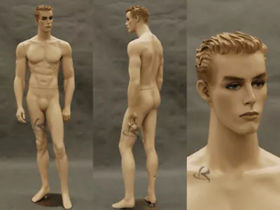 Realistic Male Mannequin With Fleshtone Color #MD-CCT6F • $259