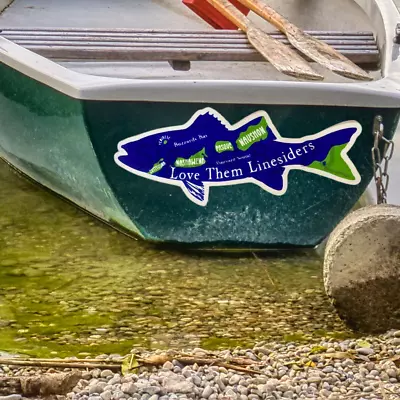 Linesiders Buzzards Bay Vineyard Map Fish Boat Bass Vinyl Sticker Waterproof • $12