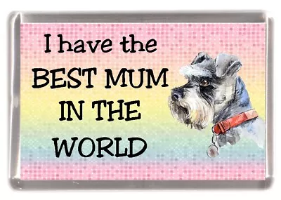 Miniature Schnauzer Dog Fridge Magnet  .. I Have The BEST MUM IN THE WORLD • £3.50