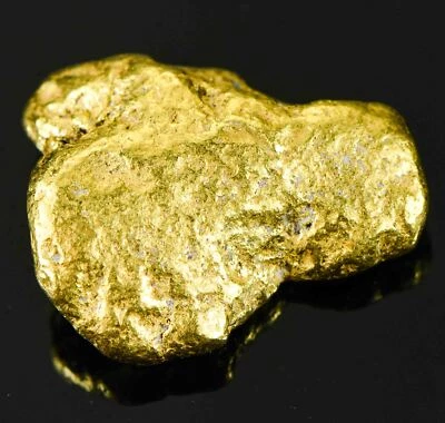 $1957.20 • Buy #545 Large Alaskan BC Gold Nugget 20.12 Grams Genuine