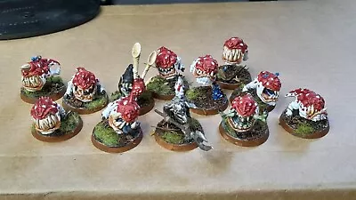 Gloomspite Gitz Squig Herd Age Of Sigmar Warhammer • £40