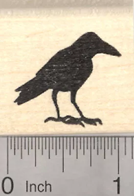 Raven Rubber Stamp Silhouette Crow Blackbird D25523 WM • $14