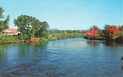 Postcard Moose River Jackman Maine • $4.75