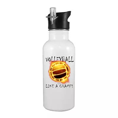 Stainless Steel Water Bottle 20oz Straw Sports Soccer Like A Volleyball • $19.99