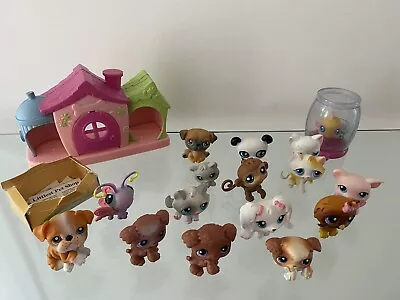 Littlest Pet Shop Bundle Including Figure/pets Case And House • £40