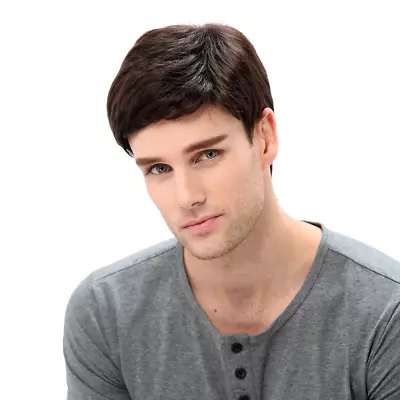 Mens Brown Wig Male Guy Short Layered Cosplay Costume Party Natural Hair 12  • $47.69