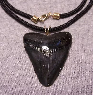 Megalodon Shark Tooth Necklace 1 7/8  Fossil Teeth Pendant BIG Megalodon REAL • $39