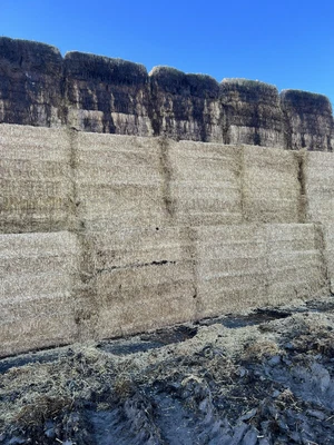 £20 • Buy Straw Bales/tractor/cattle Barriers/livestock Trailer/hay Bales/silage