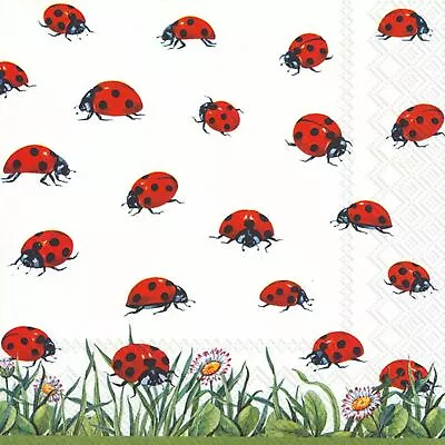 Paper Lunch Napkins Hustle And Bustle Ladybird Party 3-ply Disposable Serviettes • £6.49