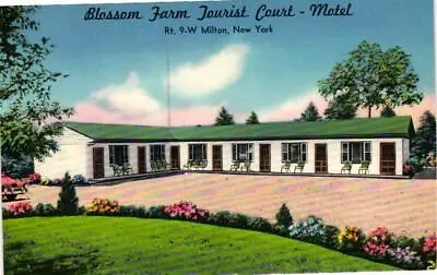 Blossom Farm Tourist Court Motel Milton New York Postcard • $1.32