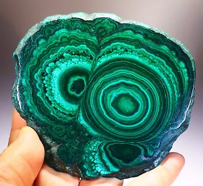 4.25  Polished Malachite Slab Congo! MA579 • $235