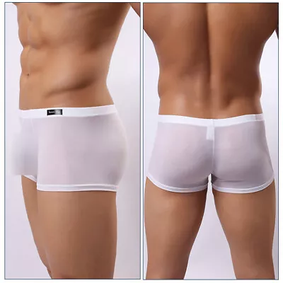 Men Ice Silk Underwear Panties Sexy Transparent Boxer Briefs Low-rise Underpants • $6.89