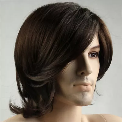 Men Short Wig Man Cosplay Hair Straight Wavy Wigs Brown Wig Party • $27.45