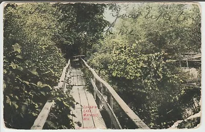 Lovers Lane - Mayville Wisconsin - 1908 Postcard - Tear At Bottom Of Card   C3 • $6.35