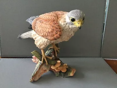 Kestrel Figurine No 03981 By Country Artists 15cm High. Excellent Condition • £20