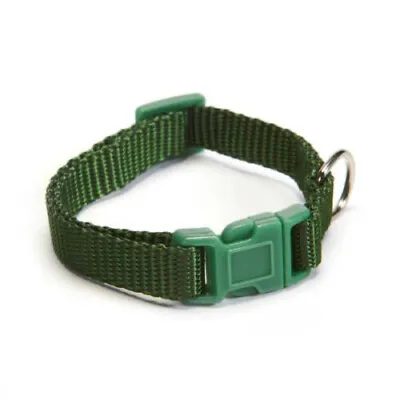 Zack & Zoey Dog Puppy Collar Adjustable Hunter Green 14-20  Neck 5/8  Wide • $5.50