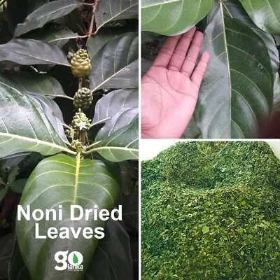 Dried Noni Leaves Morinda Citrifolia Fruit Leaf Natural Organic Herbal Ahu 140g • $15.49