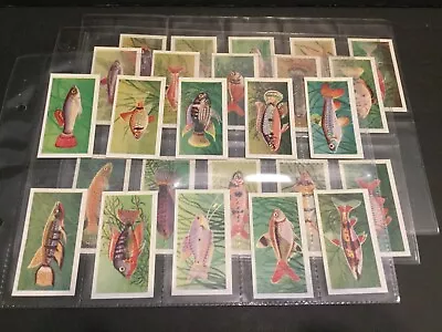 1957 Mitcham Aquarium Fish 2nd Series Set Of 25 Cards Sku372S • $11.99