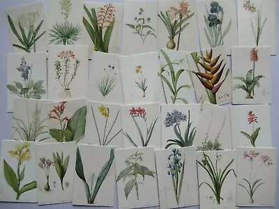 £4.99 • Buy Pk 100 Vintage Flower Plants Card Toppers / Craft Journals Scrapbook Cardmaking
