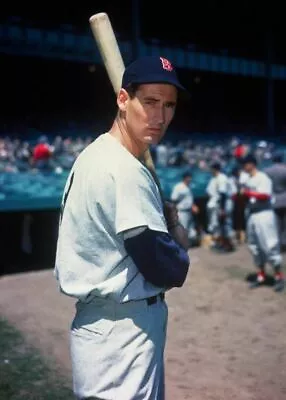 WALL POSTER: TED WILLIAMS Poster MLB Baseball Poster 2 (20x30) • $18