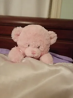 Baby GUND My First Teddy Bear Pink Plush Fluffy Soft Sewn Eyes Stuffed Gift • $14.95